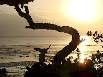 Zanzibar Rock Resort พองเว ภายนอก รูปภาพ