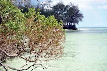Zanzibar Rock Resort พองเว ภายนอก รูปภาพ